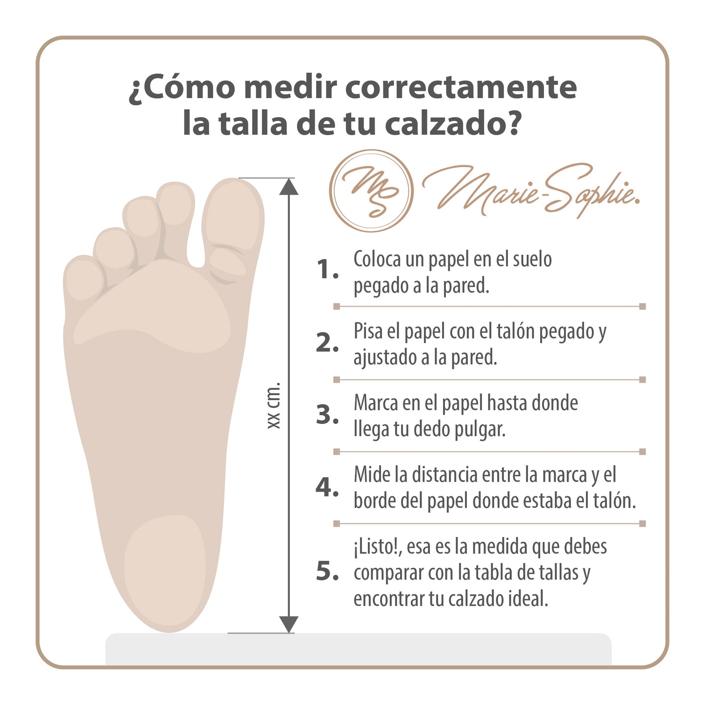 Agathe - Blanco/Café